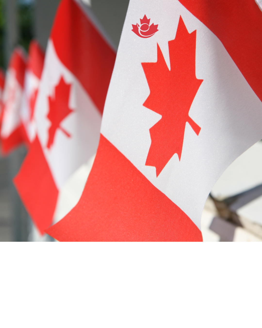 Job offer or International Student?